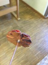 My Gallery (3/34)